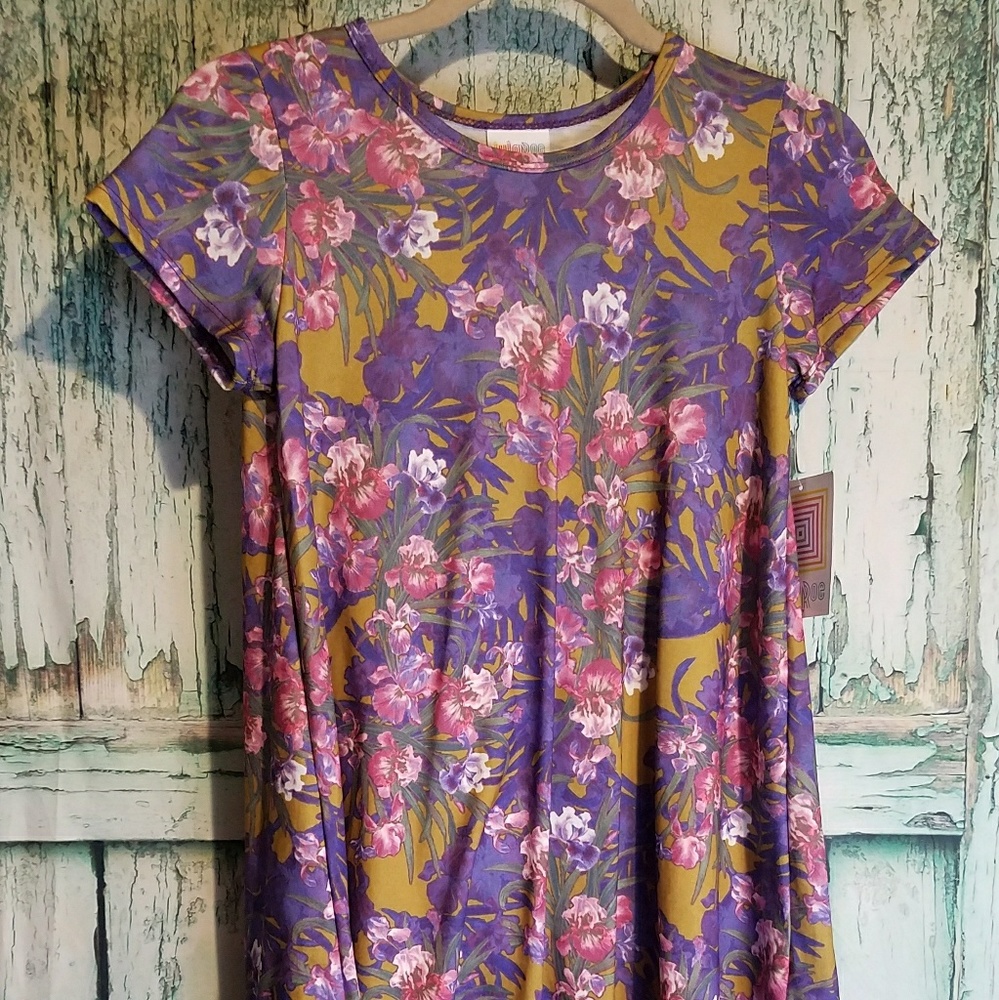 LuLaRoe Scarlett dress